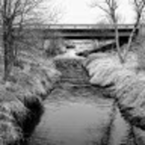 Meet your Posher, Sonya - Picture 1 of 1